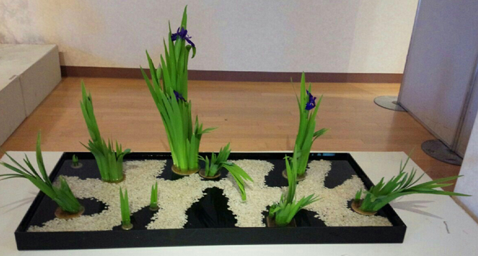 華道真養未生