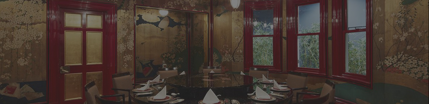 visual room