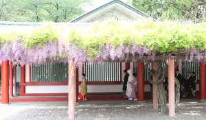 日枝神社挙式プラン
