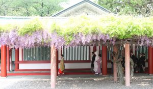 日枝神社挙式プラン