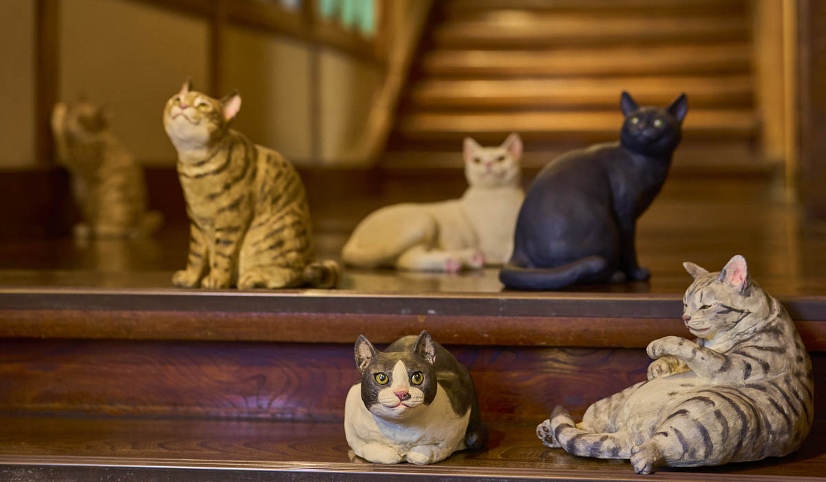 時を旅する福ねこ at 百段階段